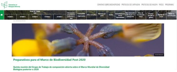 Marco de Biodiversidad post 2020